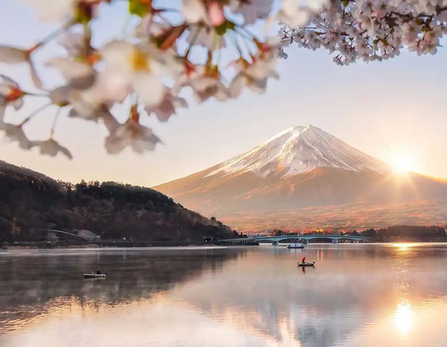Mt Fuji with cherry blossom at sunrise